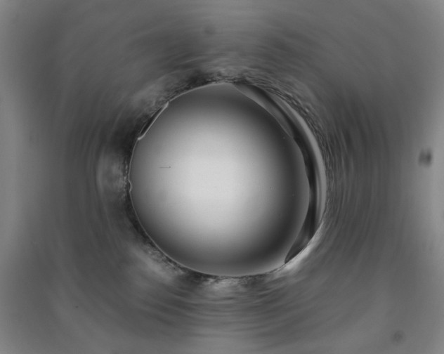 X0000091220186200708161704