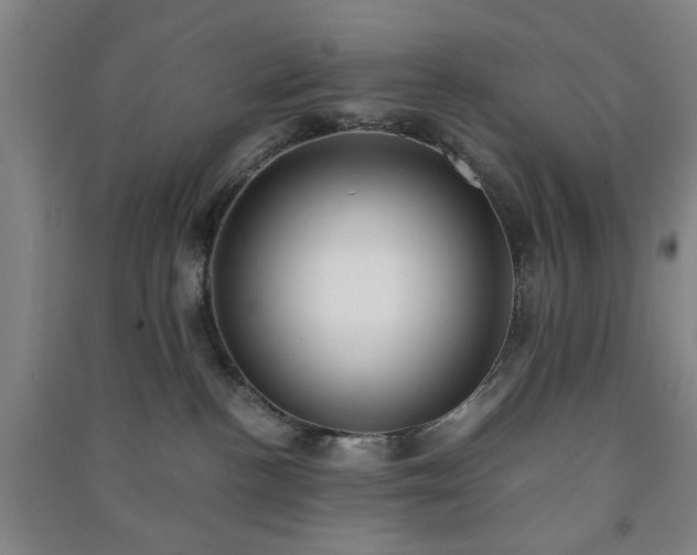 X0000091220188200708161704