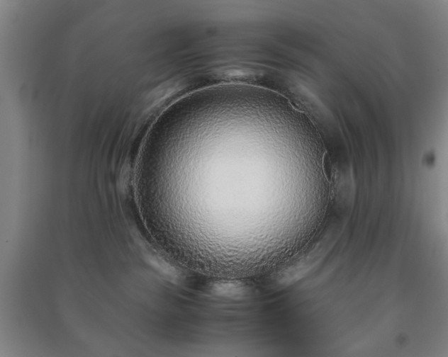 X0000091220189200708161704