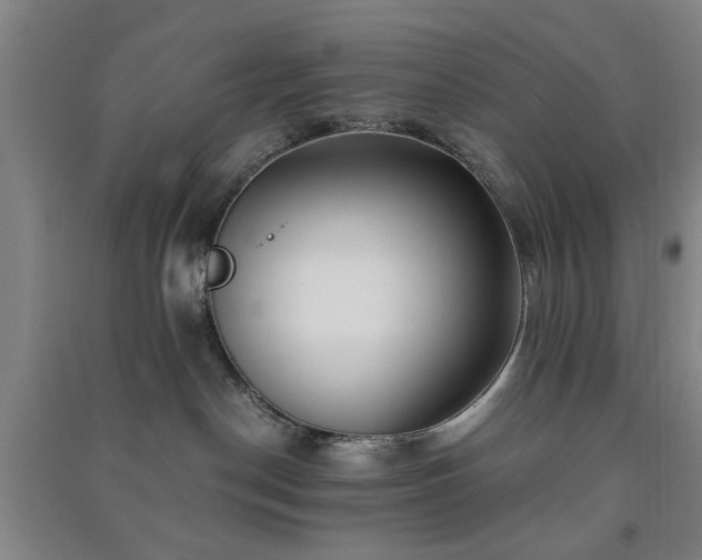 X0000091220190200708161704