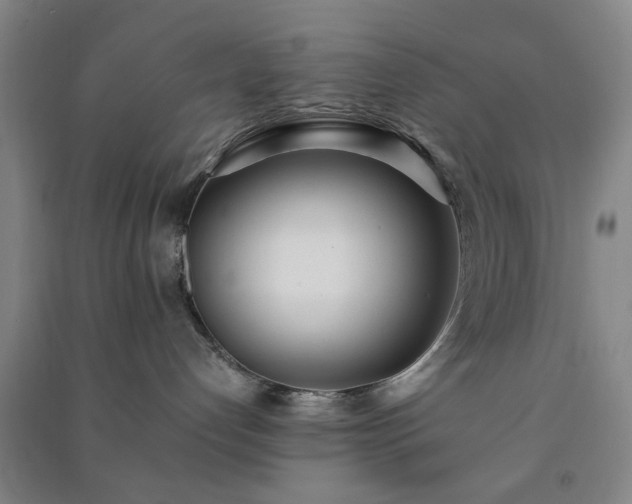 X0000091220192200708161704