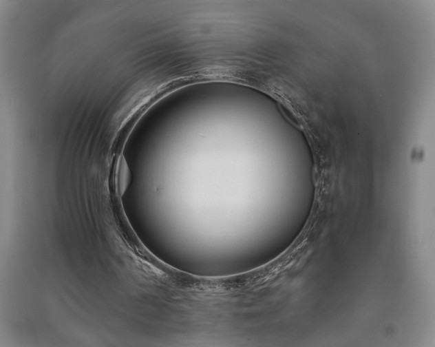 X0000091220194200708161703