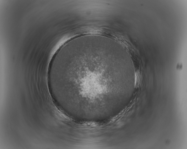 X0000091220195200708161703