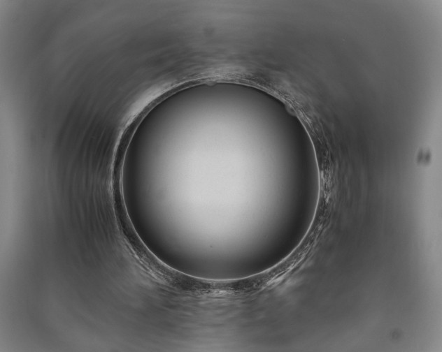 X0000091220196200708161703