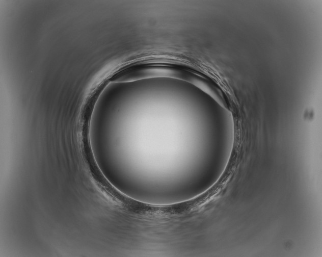 X0000091220197200708161703