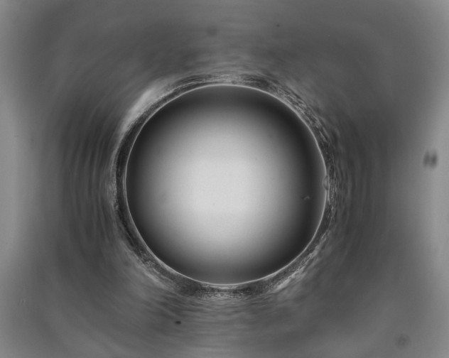 X0000091220198200708161703