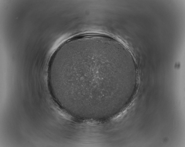 X0000091220199200708161703