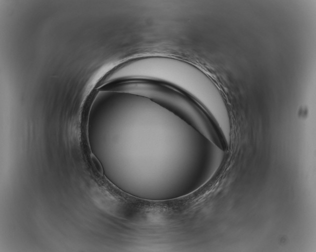 X0000091220200200708161703