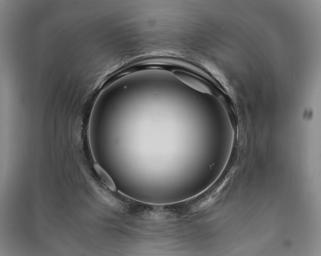 X0000091220201200708161703