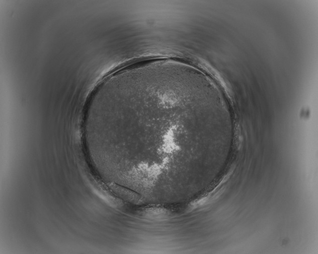 X0000091220203200708161703