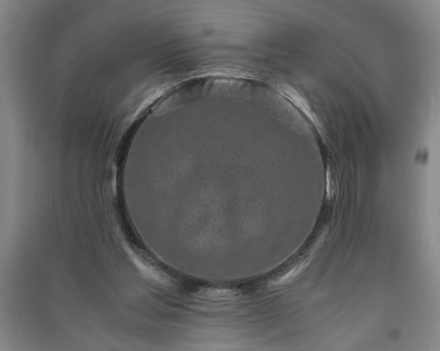 X0000091220205200708161703