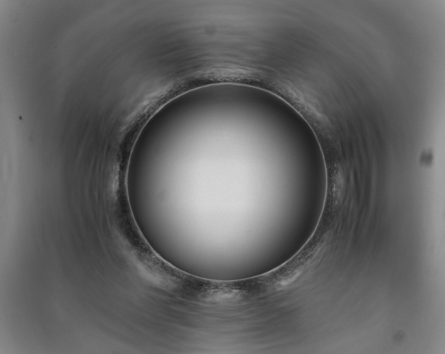 X0000091220206200708161703