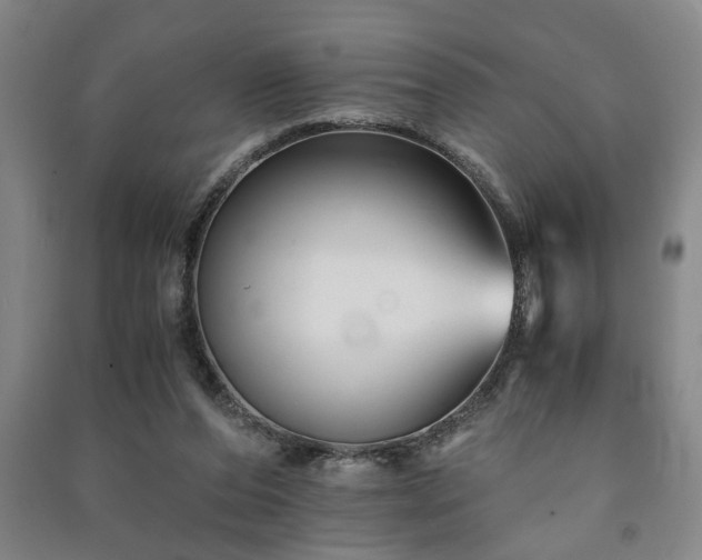 X0000091220208200708161703