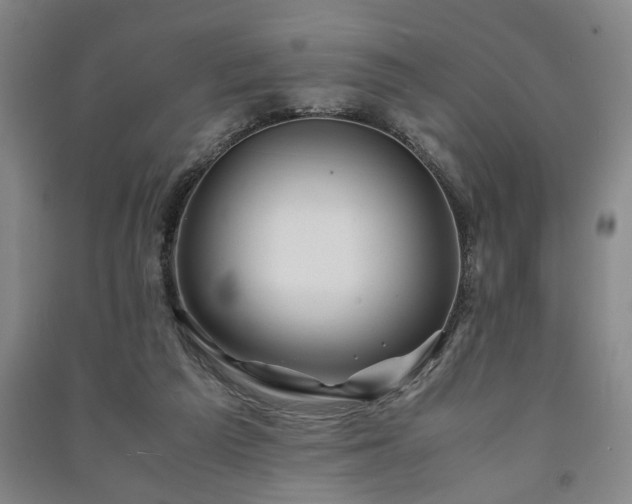 X0000091220209200708161703