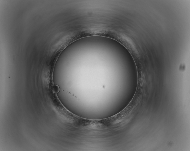 X0000091220210200708161703