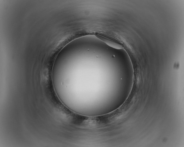 X0000091220211200708161703