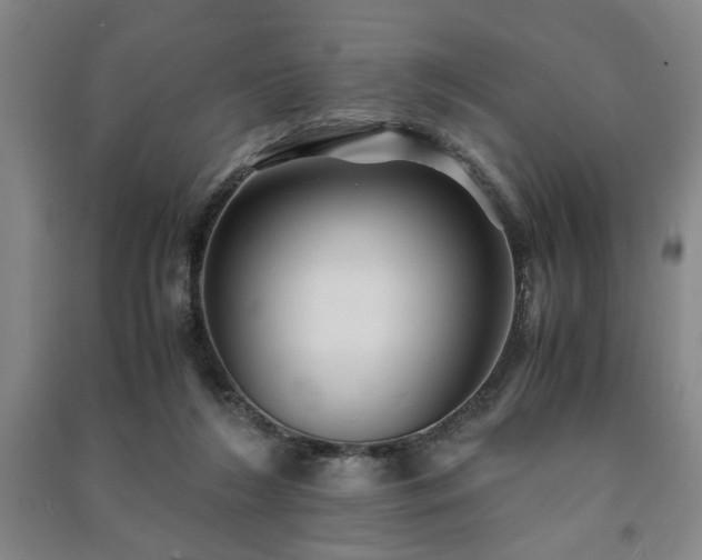 X0000091220212200708161703