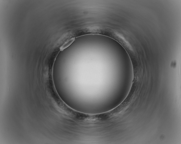 X0000091220213200708161703