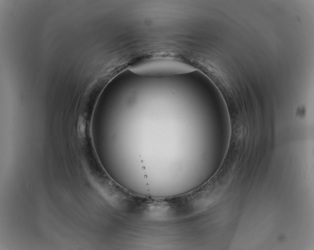 X0000091220214200708161703