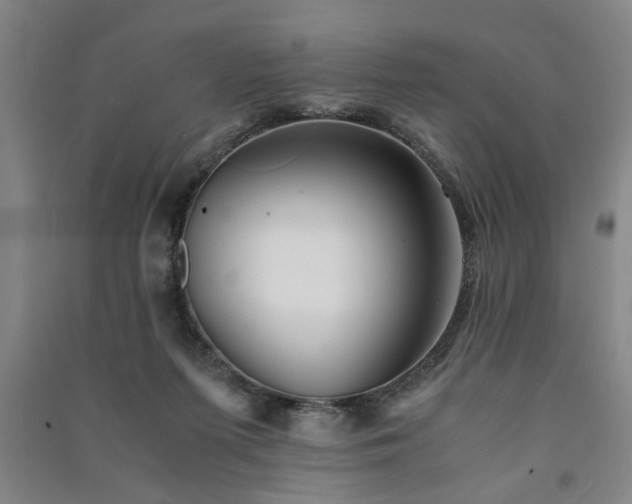 X0000091220215200708161703