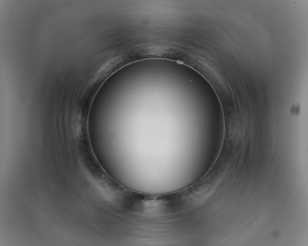 X0000091220216200708161703