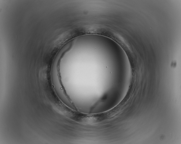 X0000091220217200708161703