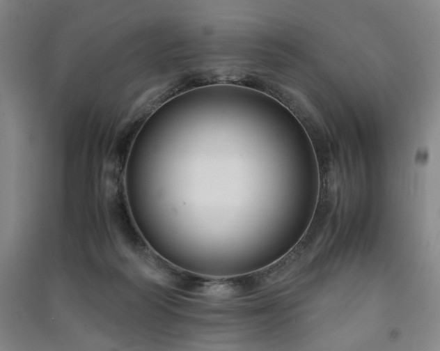 X0000091220218200708161703