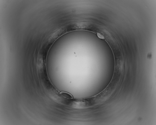 X0000091220220200708161703