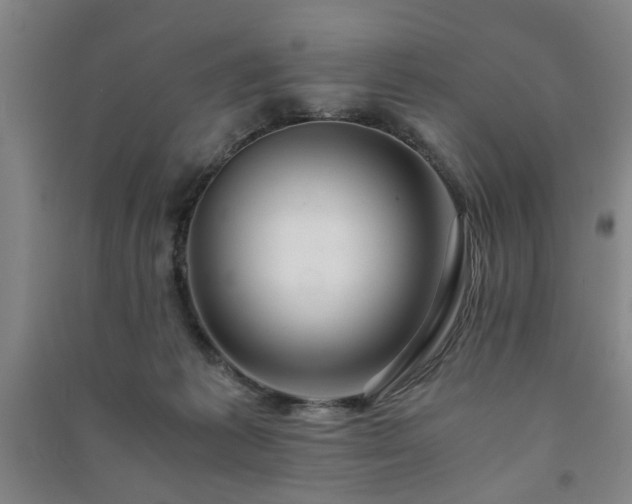 X0000091220221200708161703