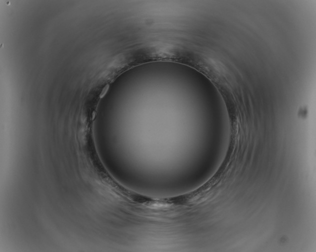 X0000091220223200708161703