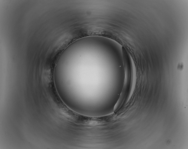 X0000091220224200708161703