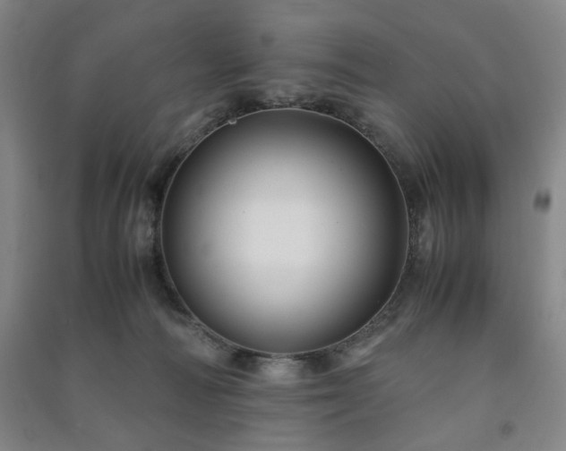 X0000091220226200708161703