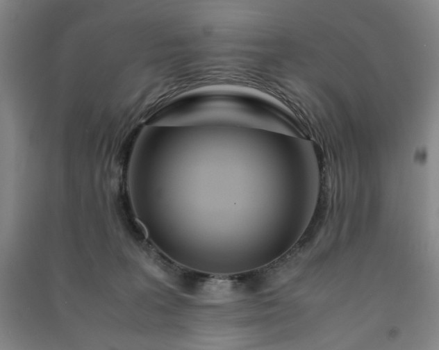 X0000091220227200708161703