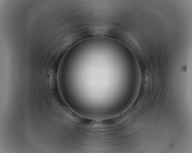 X0000091220228200708161703