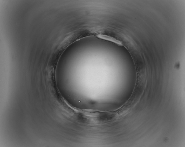 X0000091220229200708161703