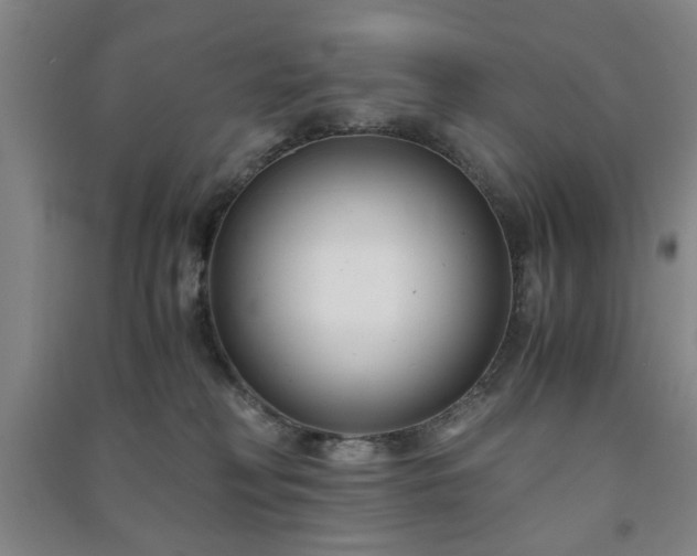 X0000091220230200708161703