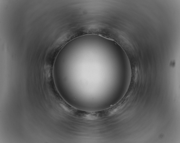 X0000091220232200708161703