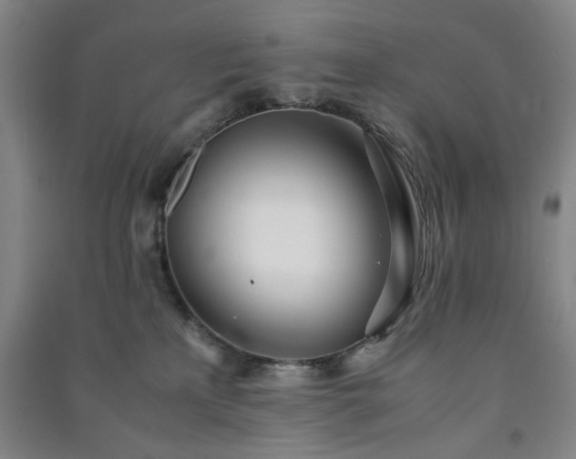 X0000091220233200708161703