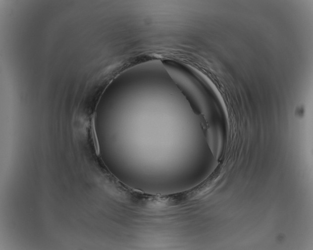 X0000091220235200708161703