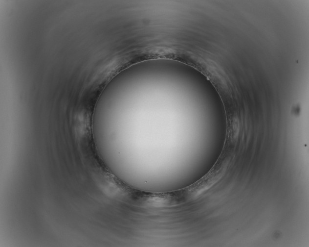 X0000091220236200708161703