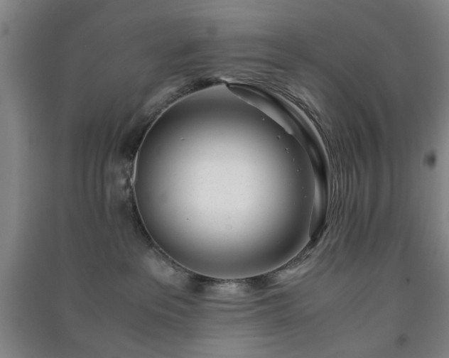 X0000091220237200708161702