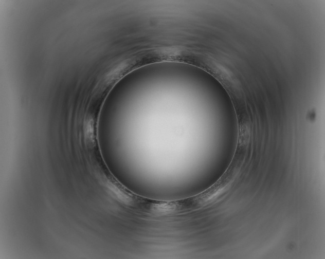 X0000091220238200708161702