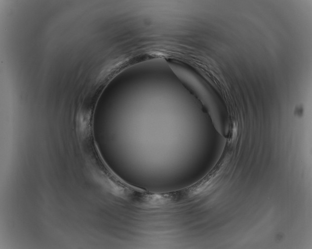 X0000091220239200708161702