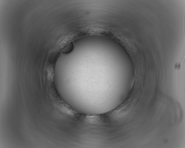 X0000091220240200708161702