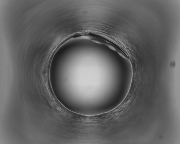 X0000091220241200708161702