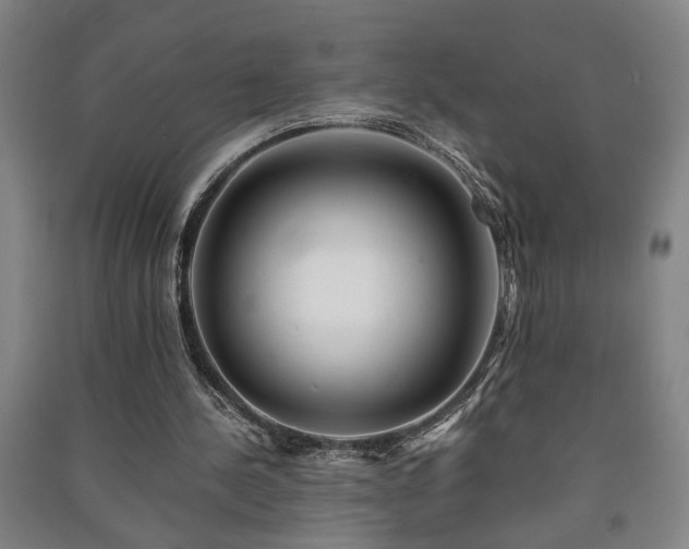 X0000091220244200708161702