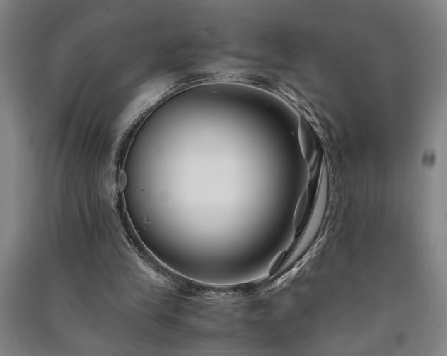 X0000091220245200708161702