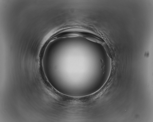 X0000091220246200708161702