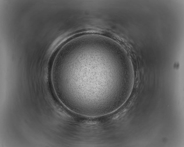 X0000091220247200708161702