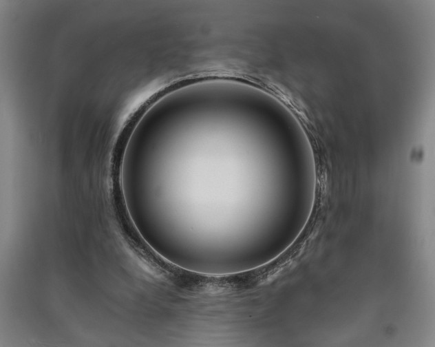 X0000091220248200708161702